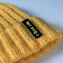 Last inn bildet i Galleri-visningsprogrammet, Førr Evig Lue 🇳🇴